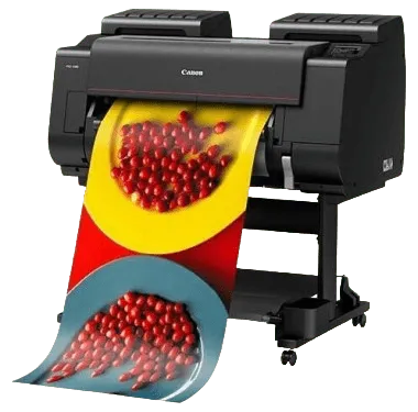 Промывка печатающей головки Canon imagePROGRAF PRO-2100